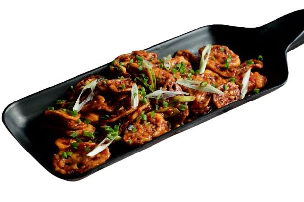 DSC05308-removebg-preview